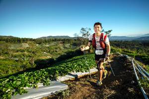 BIB: 9005
                            <button type="button" onclick="openModal(19111341)" class="btn btn-primary btn-sm float-right btn-popup" data-toggle="modal" data-target=".modal-high-quality">
                        <i class="fas fa-shopping-cart"></i> Add to Cart
                    </button>
                                            <button type="button" onclick="isThisMe(19111341, true)" class="btn btn-success btn-sm float-right btn-popup btn-isme hidden" data-toggle="tooltip" data-placement="bottom" title="นี่คือรูปของคุณใช่ไหม คลิกที่นี่เพื่อเอาเข้าอัลบั้ม">
                        <i class="fas fa-plus"></i> Add to album
                    </button>
                    <button type="button" onclick="isThisMe(19111341, false)" class="btn btn-warning btn-sm float-right btn-popup btn-isnotme hidden">
                        <i class="fas fa-ban"></i> Remove from album
                    </button>